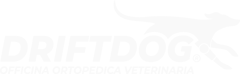 nuovo logo driftdog (solo bianco).png